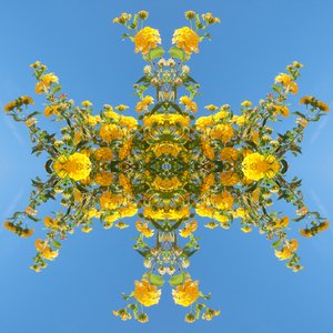 不自然な193（デジタルで加工された写真 作： Giovanni Cafagna