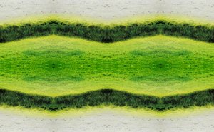 Unnatural 2.1（デジタル処理された写真）