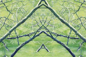 Unnatural 30（デジタル処理された写真） 作： Giovanni Cafagna