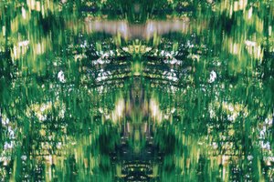 Unnatural 31（デジタル処理された写真） 作： Giovanni Cafagna