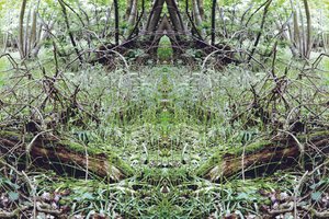 Unnatural 33（デジタル処理された写真） 作： Giovanni Cafagna