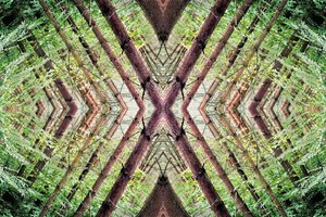 Unnatural 37（デジタル処理された写真） 作： Giovanni Cafagna