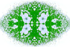 Unnatural 37（デジタル処理された写真） 作： Giovanni Cafagna