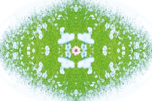 Unnatural 37（デジタル処理された写真） 作： Giovanni Cafagna