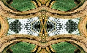 Unnatural 37（デジタル処理された写真） 作： Giovanni Cafagna
