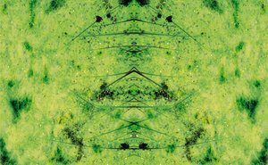 Unnatural 3（デジタル処理された写真） 作： Giovanni Cafagna