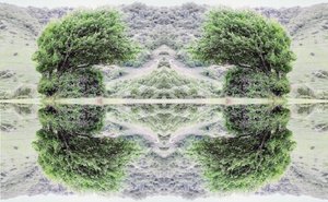 Unnatural 40（デジタル処理された写真） 作： Giovanni Cafagna