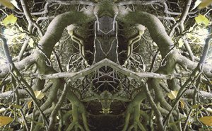 Unnatural 41（デジタル処理された写真） 作： Giovanni Cafagna
