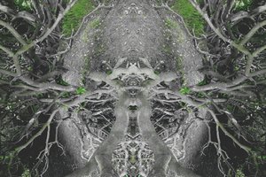 Unnatural 42（デジタル処理された写真） 作： Giovanni Cafagna