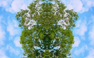 Unnatural 46（デジタル処理された写真） 作： Giovanni Cafagna