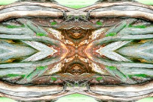 Unnatural 64（デジタル処理された写真） 作： Giovanni Cafagna