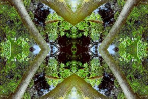 不自然な65.3（デジタル処理された写真） 作： Giovanni Cafagna