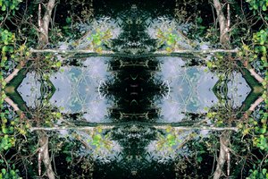 Unnatural 73（デジタル処理された写真） 作： Giovanni Cafagna