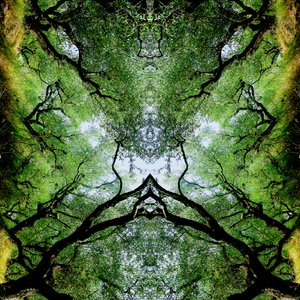 Unnatural 75（デジタル処理された写真） 作： Giovanni Cafagna
