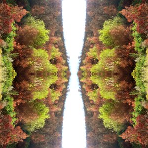 Unnatural 77（デジタル処理された写真） 作： Giovanni Cafagna