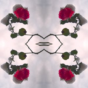 Unnatural 80（デジタル処理された写真） 作： Giovanni Cafagna