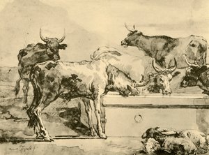 18世紀半ばから後半の水やりをする牛、1928年 作： Giovanni Domenico Tiepolo