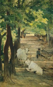 ジョバンニ・ファットーリ（1825-1908）作「牛と石割機のある通り（Avenue with Oxen and Stonebreaker