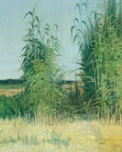 リヴォルノの水キャリア 作： Giovanni Fattori