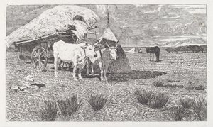 荷車につながれた牛 (マレンマ) 作： Giovanni Fattori