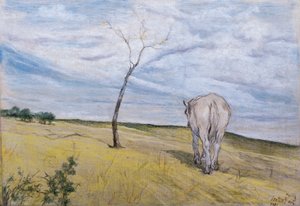 ジョバンニ・ファットーリ（1825-1908）の「白馬」。 作： Giovanni Fattori