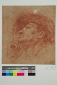 預言者ハガイの頭のための研究（紙に赤いチョーク） 作： Giovanni Francesco Barbieri