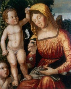 お針子のマドンナ 作： Giovanni Francesco Caroto