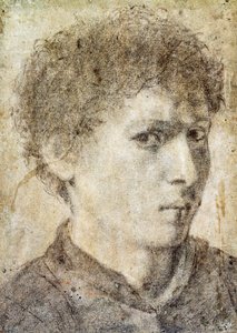 少年の頭、ジャン ジローラモ サヴォルド (1480～1548年頃) 作、黒鉛筆と白チョーク、イタリア 作： Giovanni Girolamo Savoldo
