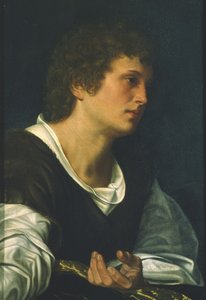 福音伝道者聖ヨハネ（キャンバスに油彩） 作： Giovanni Girolamo Savoldo