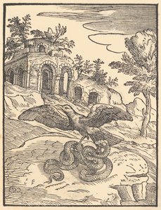 鳥と蛇、1570年。 作： Giovanni Maria Verdizotti