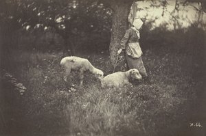 木にもたれる羊飼い、2 頭の羊、1870 年。