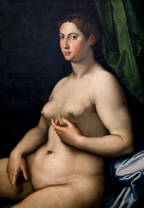 女性の肖像画。 16世紀（カンヴァスに油彩） 作： Girolam Siciolante