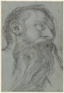 預言者の頭の研究 作： Girolamo Muziano