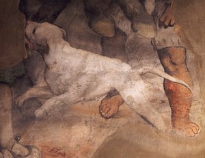 犬の図、ジロラモ・ロマニノ（約1484-1566）によるフレスコ画の細部、イタリア、ブレノのサンタントニオ（聖アンソニー）教会 作： Girolamo Romanino
