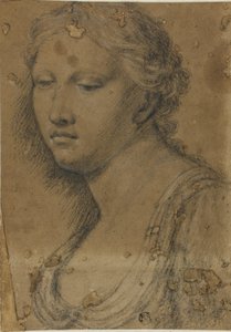 女性のバスト 作： Girolamo da Carpi