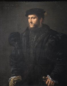 黒の紳士の肖像 作： Girolamo da Carpi