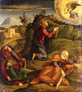 庭の苦しみ、 作： Girolamo da Santacroce