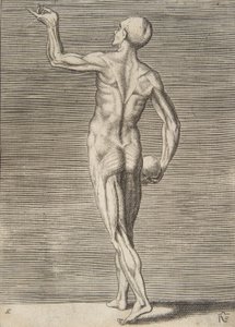 右手にドクロを持った後ろ姿の男性、16世紀。 作： Giulio Bonasone