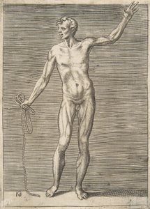 正面から見た、右手にロープを持った男性、16 世紀。 作： Giulio Bonasone