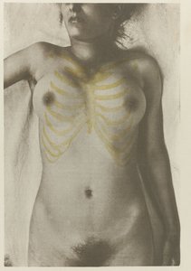 Anatomical foto van een vrouwelijk lijk: 