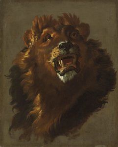 ライオン、1750年代。 作： Giuseppe Baldrighi