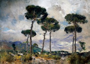 松の木 作： Giuseppe Casciaro