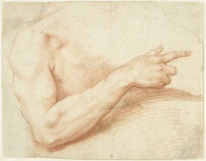 腕の研究 作： Giuseppe Cesari