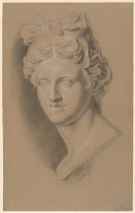 古典的な女性の胸像のキャストに関する学術的研究 作： Giuseppe Longhi