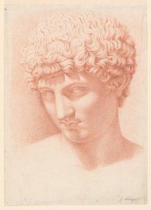 アポロの頭 作： Giuseppe Longhi