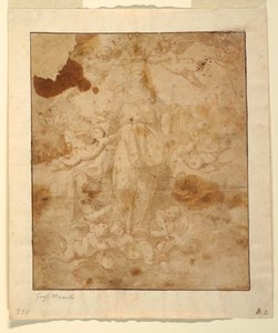 素描《聖母の昇天》習作 1650-85年 作： ジュゼッペ・マルロ