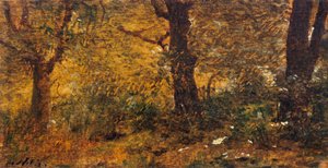 木の研究 作： Giuseppe or Joseph de Nittis
