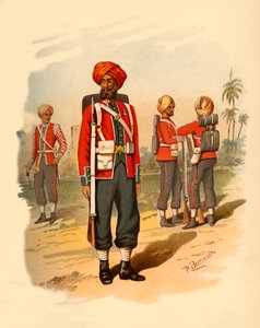 第15シーク教徒、1890年。 作： Godfrey Douglas Giles