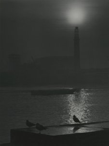 テムズ川近くの夕暮れ時のカモメのシルエット 作： Godfrey Macdominic