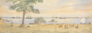 Greytown 作： Godfrey Thomas Vigne